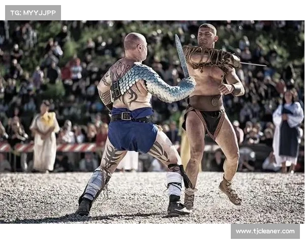 WWE赛事数量大揭秘全面解析其多个类别详情