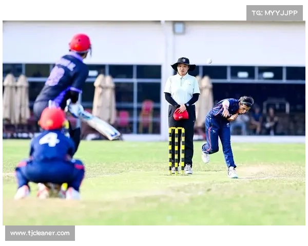 板球赛事视频大全集