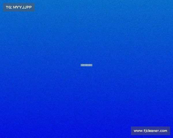 数字电子竞争冒险